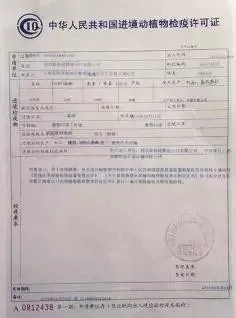 华阴市防疫检疫站人事大调整，强化防疫体系构建，打造更强大防疫力量